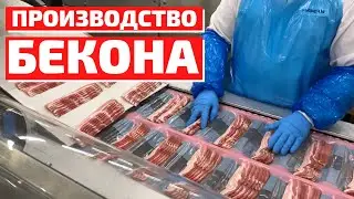 Как делают бекон в Польше #работавПольше #бекон #вакансииПольша2020