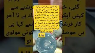 آخر کار فرشتے نے خاتون سے کہا بی بی حوصلہ کریں پہلے کوئی مولوی جنت میں آئے تو