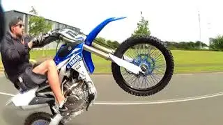 Team killerbeez