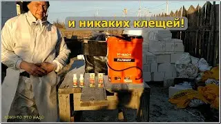 Акарицидная (противоклещевая) обработка участка.