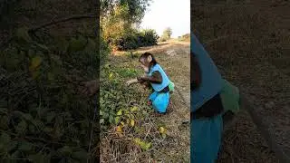 Baby monkey eating fruit #monkey #monkeylucky #monkeylubu #monkeydluffy #monkeylucy #monkeylove