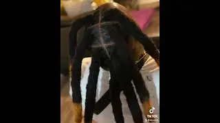 FLORIDA WICKS ‼️‼️ MADE AND INSTALLED BY DREAD QUEEN (DQ vs WT)