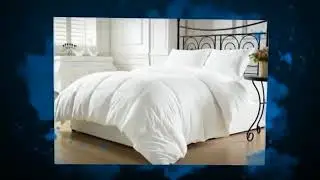 Chezmoi Collection White Goose Down Alternative Comforter