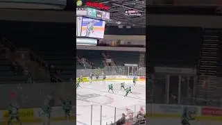 Epic Showdown! Texas Stars vs. Griffins- AHL Hockey Action #icehockey #hockeylife #texasstars #yt