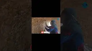 Fariba Khanum's fall from a height #life #bid #chavir #nature #fariba_man #chavil #adventure #ashk