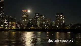 London By Night By Boat On River Thames: London: England UK 🇬🇧 