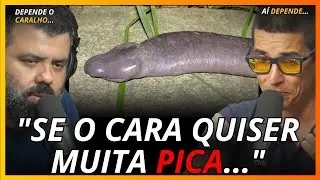 TREZOIT&Atilde;O COMENTA SOBRE AS CAMADAS DA PERSONALIDADE...