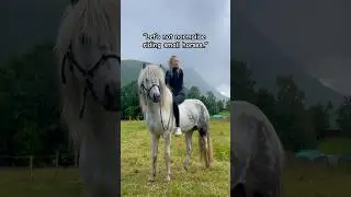 &ldquo;Let&rsquo;s not normalise riding small horses..&rdquo; #horse #icelandichorse #horseriding #horses #equestrian