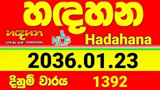 hadahana lottery 1391 2026.01.23 Today  Lottery Result  #handahana #nlb