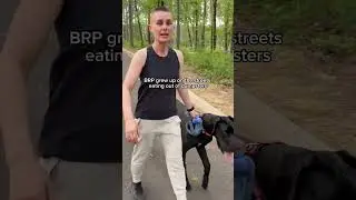 Немецкий дог против агрессивной собаки