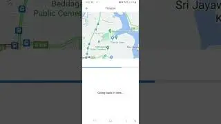 How to check Google timeline