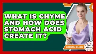 What Is Chyme And How Does Stomach Acid Create It? - Gut Wellness Central