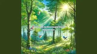 Avian Acoustics, Nature&rsquo;s Orchestra for Peace