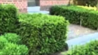 Aanleg terrassen, opritten en parkings Hoogstraten - Bestrat