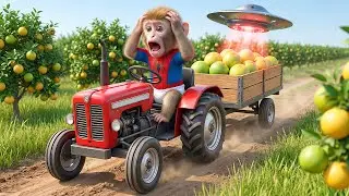 Monkey Funky&rsquo;s Pomelo Harvest Turns CHAOTIC &mdash; A Tractor Cart Tire Suddenly Bursts 🚜🍊😱