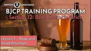 BJCP Training: Section 12 Beer Characteristics -Lesson 2 - Body and Head Retention