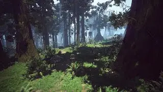 Black Desert Online - Forest Ronaros Infinite Potion Rotation