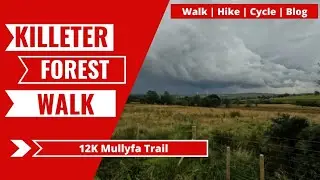 Killeter Forest | 12K Mullyfa Trail