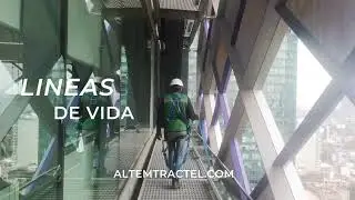 LINEAS DE VIDA