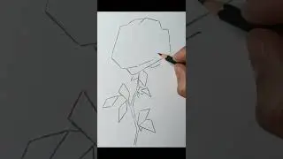 Speed drawing Rose #shorts #drawing #art #flowers #speeddrawing