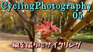 楓を撮りにサイクリング　Cycling Photography 05