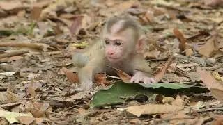 Lucie walking look mom Luna leave lonely |