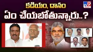 Telangana MLA's Defection Case | కడియం, దానం ఏం చేయబోతున్నారు..? - TV9
