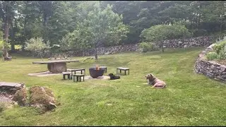 Council Fires