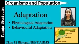 Organisms and Population - Adaptation |Physiological & Behavioural Adaptation|Class 12 Biology/ NEET