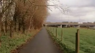 Overtaken by a Barn Owl.