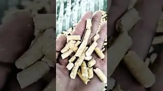 Wood pellet making for fuel manufacturing factory use #fcnfm #pelletmachine