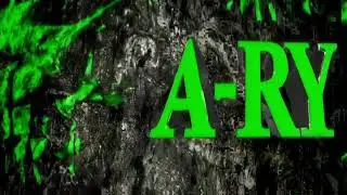 Wwe Alex Riley Minitrons