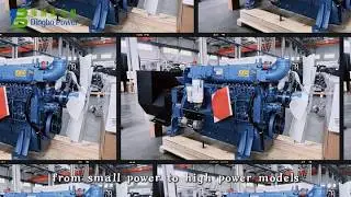 Unleash Power: Explore Our 750 kVA Diesel Generator for All Your Needs