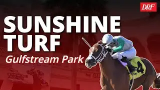 Предварительный показ поля Sunshine Turf в Gulfstream Park | 17 января 2026 г.