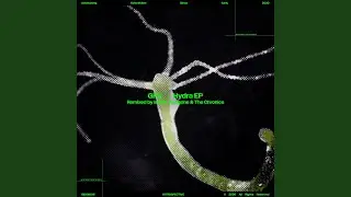 Hydra (Isaiah Remix)