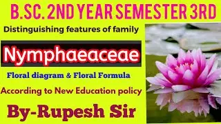 Nymphaeaceae family Characteristics and Economic Importance #bsc3rdsemester