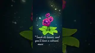 Noisybloom