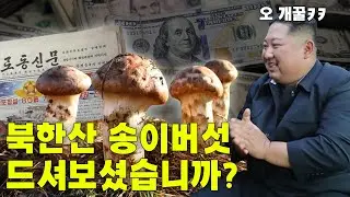 Will North Korean sanctions be broken by pushing for imports of North Korean products?
