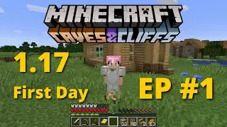 minecraft 1.17 survival series in hindi ep 1