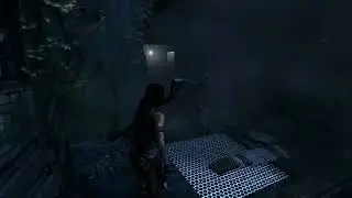 Tomb Raider Steam Part 10