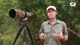 Mark A Fernley Tells Us About Untamed Photo Safaris