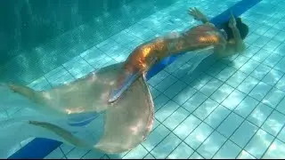 Mermaid goldfish real tail