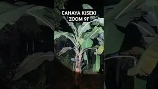 Apakah SENTER KISEKI ZOOM 9F AKAN LEBIH TERANG DAN TAHAN LAMA DARIPADA ZOOM 8? #trending