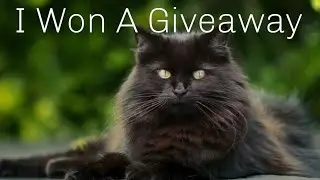I Won A Giveaway From Mary Catherine Loves Cat's