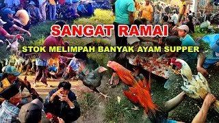 Pasar Ayam Bangkok yang Selalu Ramai | Banyak Pilihan Ayam Bangkok Super Bagus