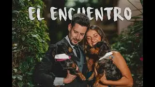 El encuentro | Teckel love