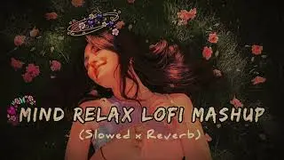 Pehle Bhi Main (Slowed + Reverb) | Abhi patel| Animal | SR Lofi