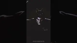 VIII | Ave Dominus Nox