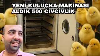YENİ KULUÇKA MAKİNASI ALDIK | 500 CİVCİV KAPASİTELİ 😱