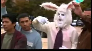 Me llaman conejo. Muchachada Nui